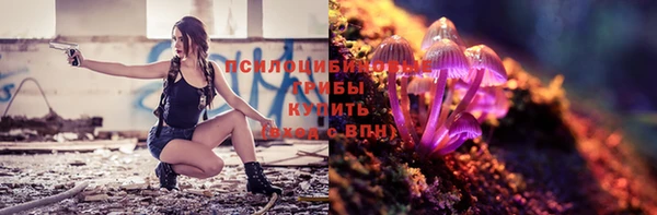 дмт Сосновка