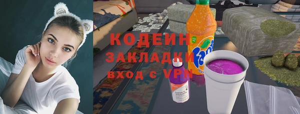 амф Гусь-Хрустальный