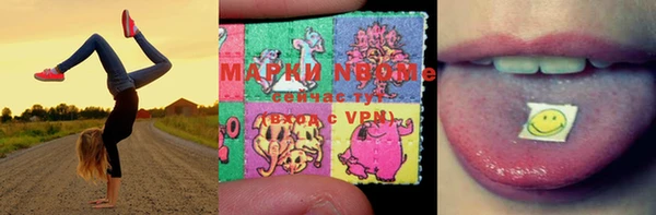 дмт Горнозаводск
