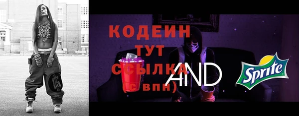 дмт Горняк
