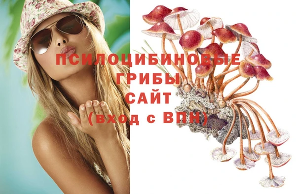 гашиш Гусиноозёрск