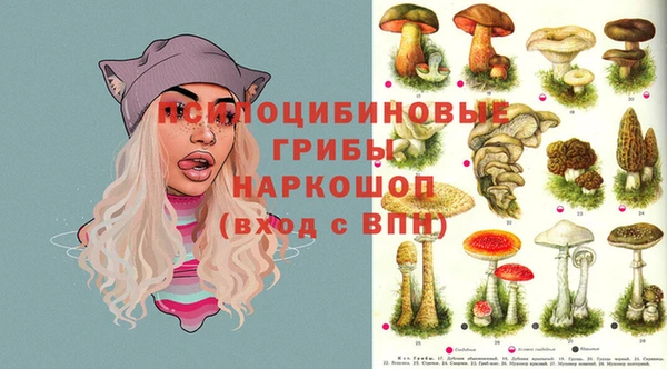 дмт Горняк