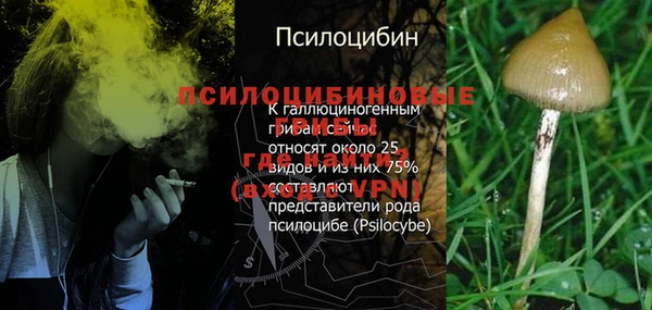дмт Горняк