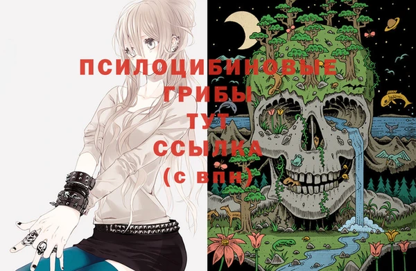 первитин Гусев