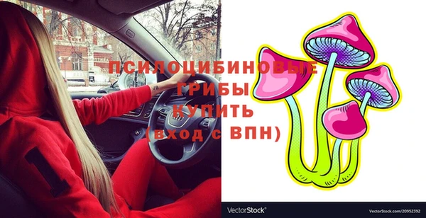 дмт Горнозаводск