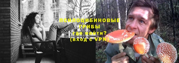первитин Гусев