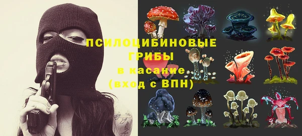 амф Гусь-Хрустальный
